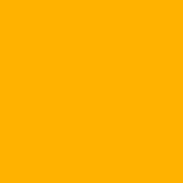 orange shade RAL-2007