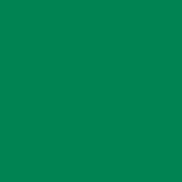 green shade RAL-6024