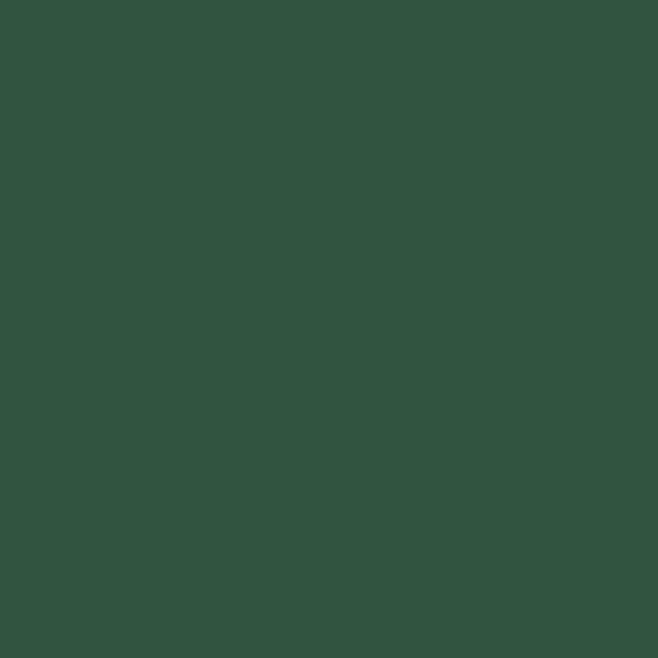 dark green shade RAL-6028