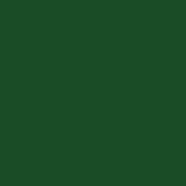 dark green shade RAL-6035