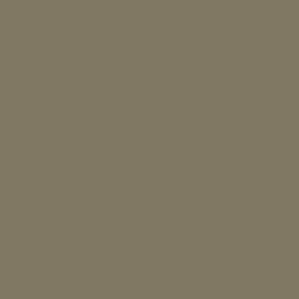 Green brown grey shade RAL-7002