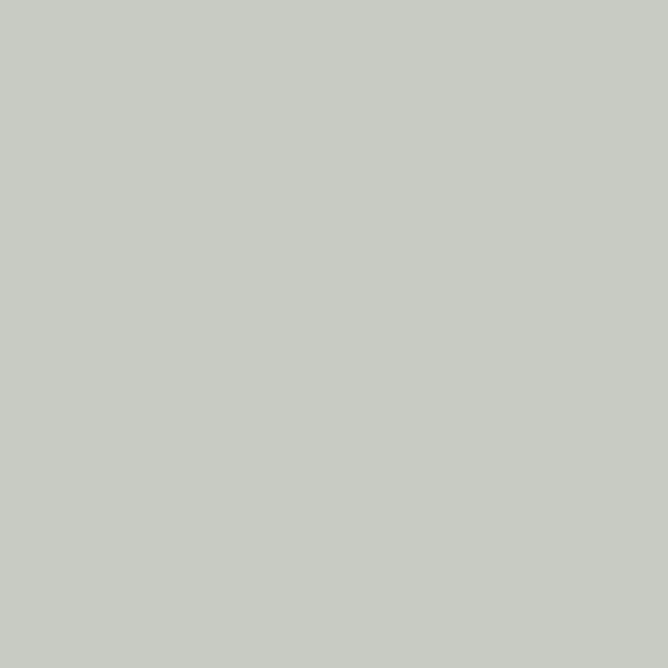 Light grey shade RAL-9018